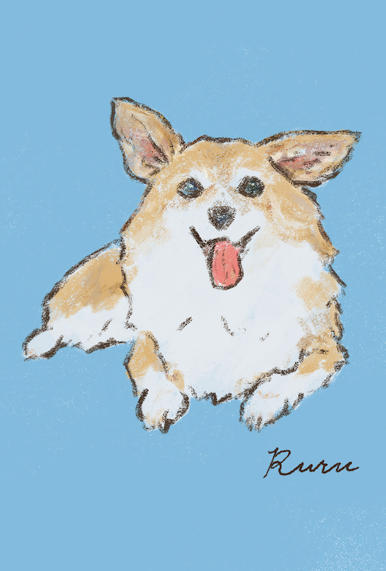 ペットイラスト制作 コーギー犬 ルルさん