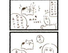 しわしわはるお