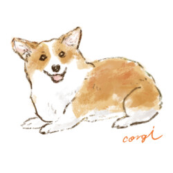 ペットイラストサンプル　コーギー犬