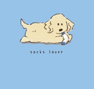 socks lover